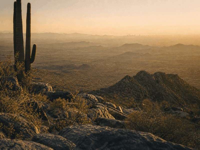 Exercising in Arizona Heat: What the Research Actually Says